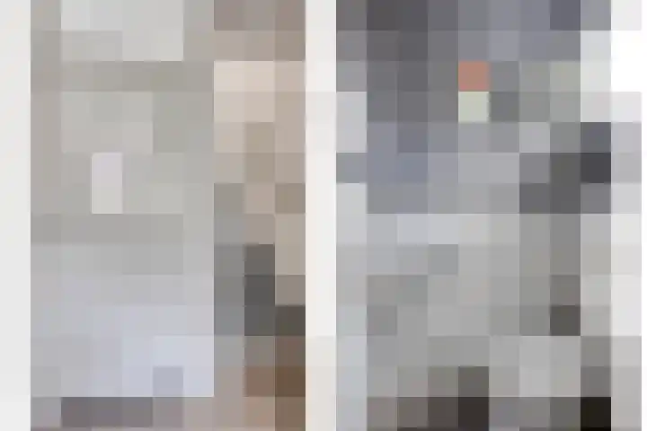 Wielsloot 3 Koedijk thumbnail 9
