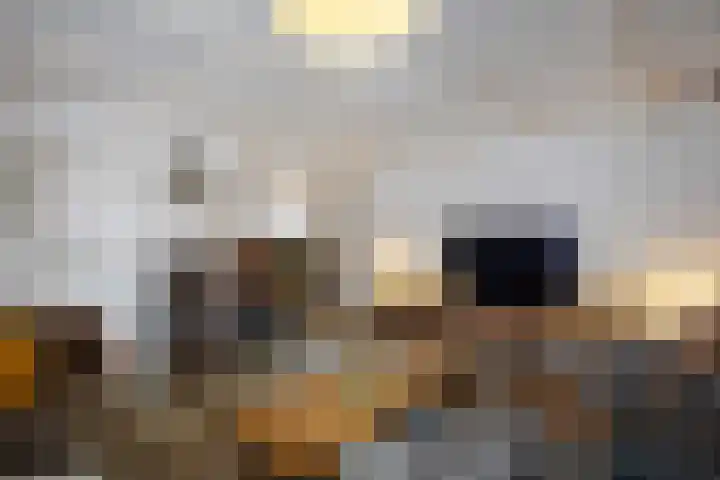 Wier 10 Baflo thumbnail 13