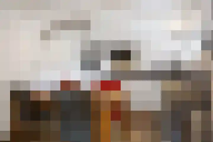 Wier 10 Baflo thumbnail 15