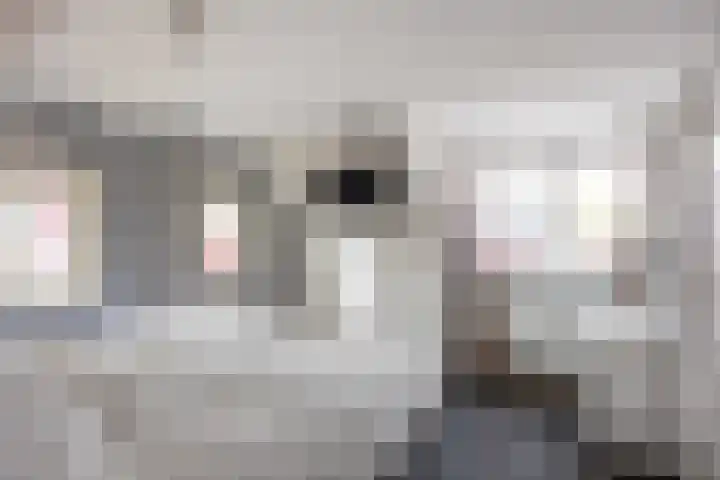 Wier 10 Baflo thumbnail 27