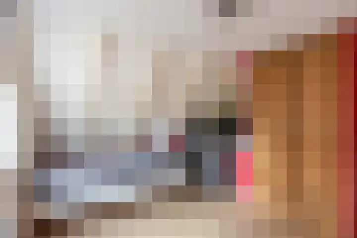Wier 10 Baflo thumbnail 31