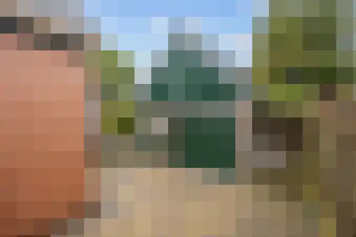 Wier 10 Baflo thumbnail 33