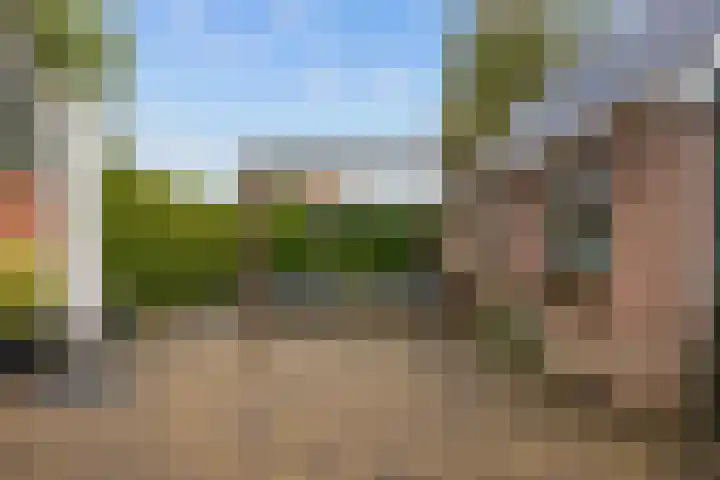 Wier 10 Baflo thumbnail 37