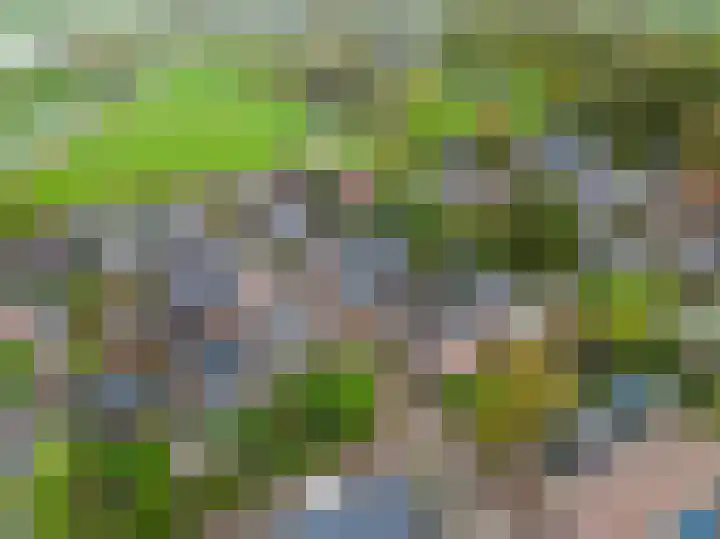 Wier 10 Baflo thumbnail 7