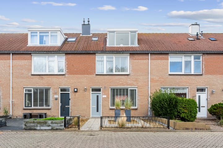 Wierbalg 1929 in Julianadorp foto