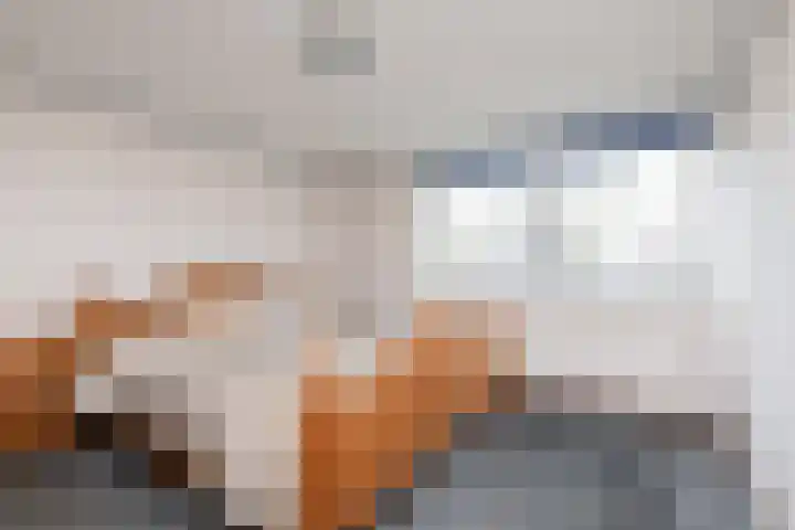 Wierde 26 Sneek thumbnail 25