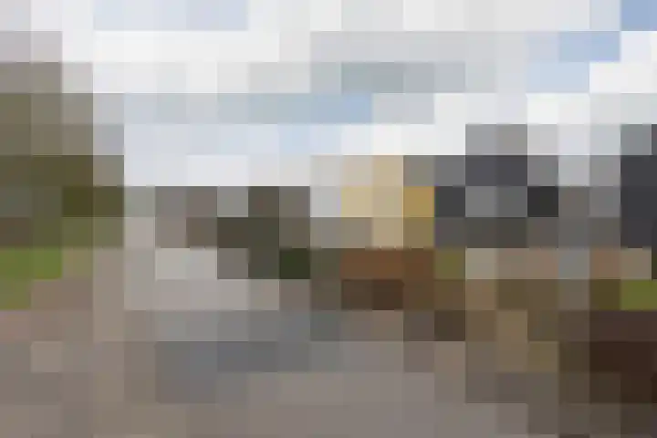 Wierde 26 Sneek thumbnail 40