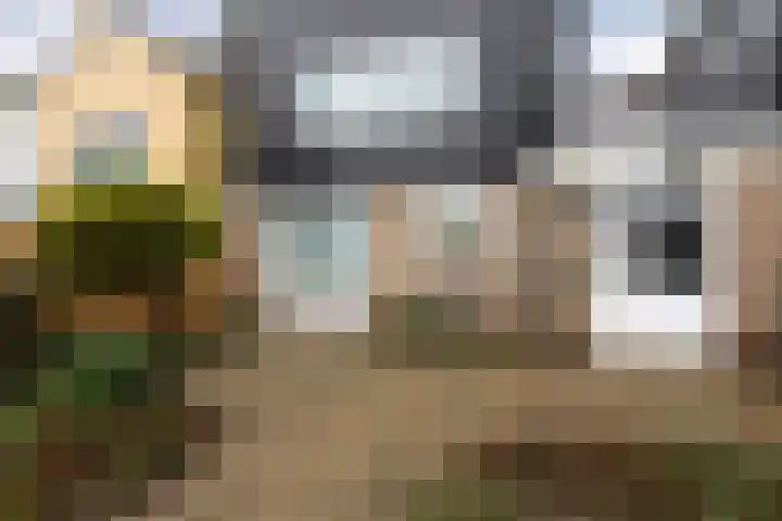 Wierde 26 Sneek thumbnail 41