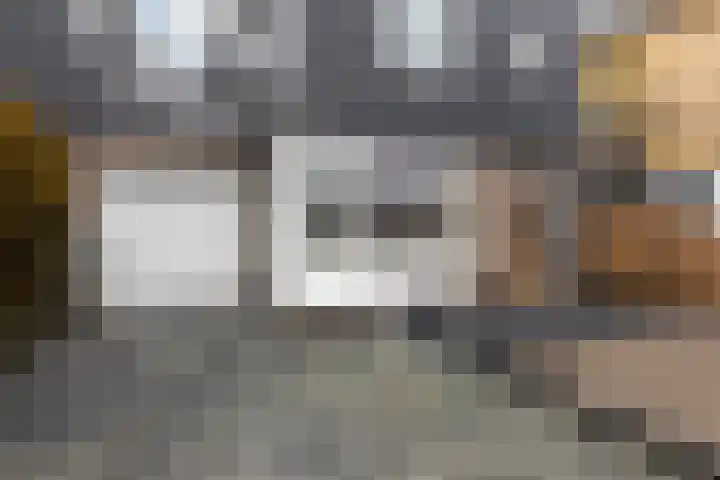 Wierde 26 Sneek thumbnail 43