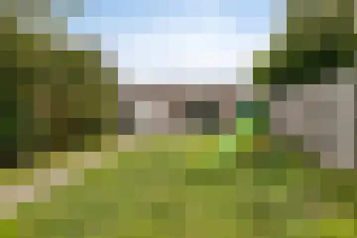 Wierde 29 Leens thumbnail 14