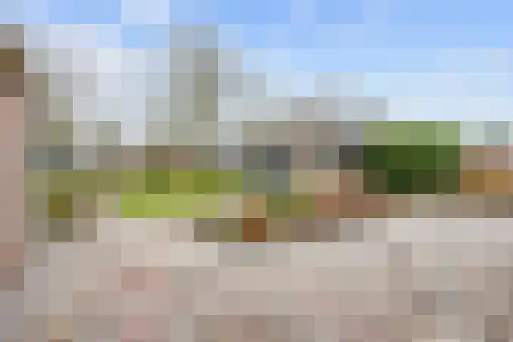 Wierde 29 Leens thumbnail 26