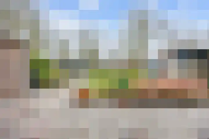 Wierde 29 Leens thumbnail 29