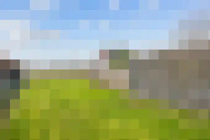 Wierde 29 Leens thumbnail 31