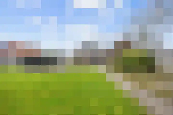 Wierde 29 Leens thumbnail 37