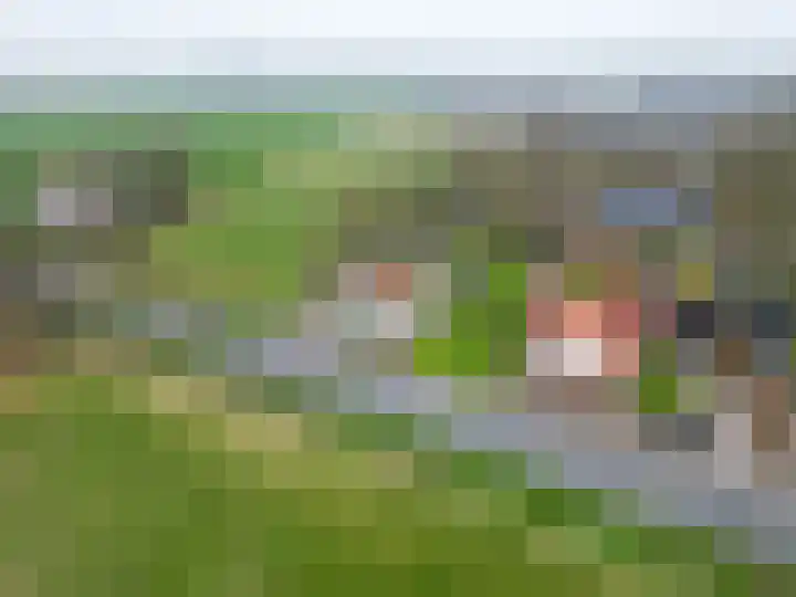 Wierde 29 Leens thumbnail 41