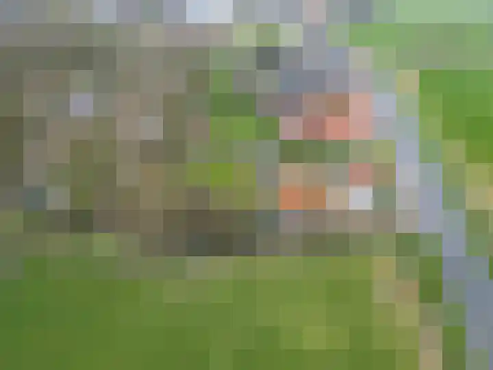 Wierde 29 Leens thumbnail 44