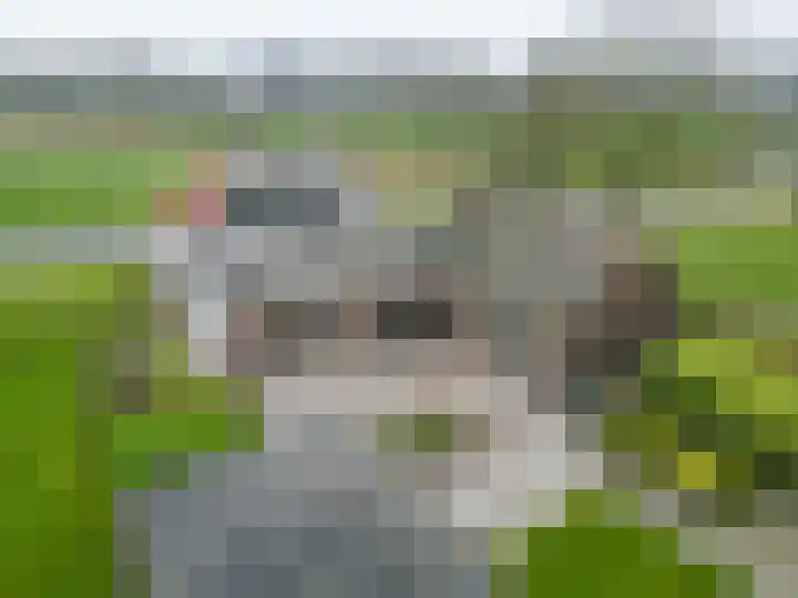 Wierde 29 Leens thumbnail 45