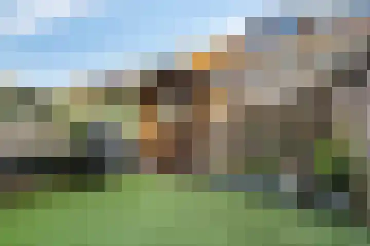 Wierde 29 Leens thumbnail 56
