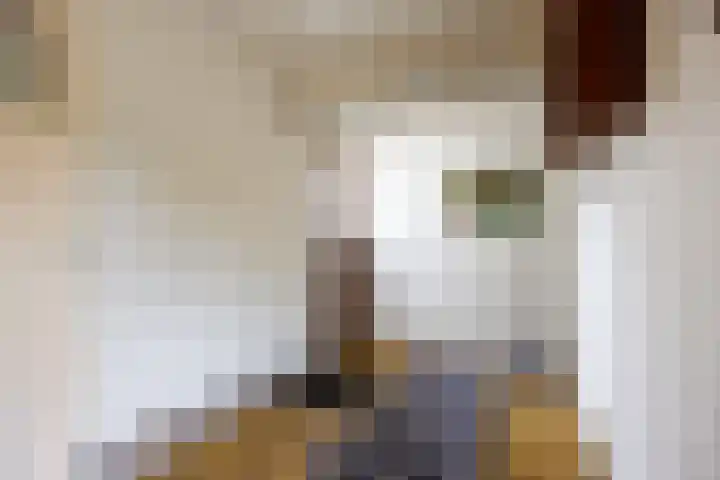 Wierde 29 Leens thumbnail 6