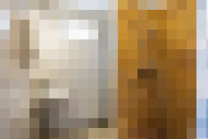 Wierde 29 Leens thumbnail 9
