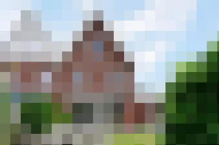 Wierdijk 41 Zwaag thumbnail 30