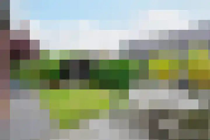 Wierdijk 41 Zwaag thumbnail 31