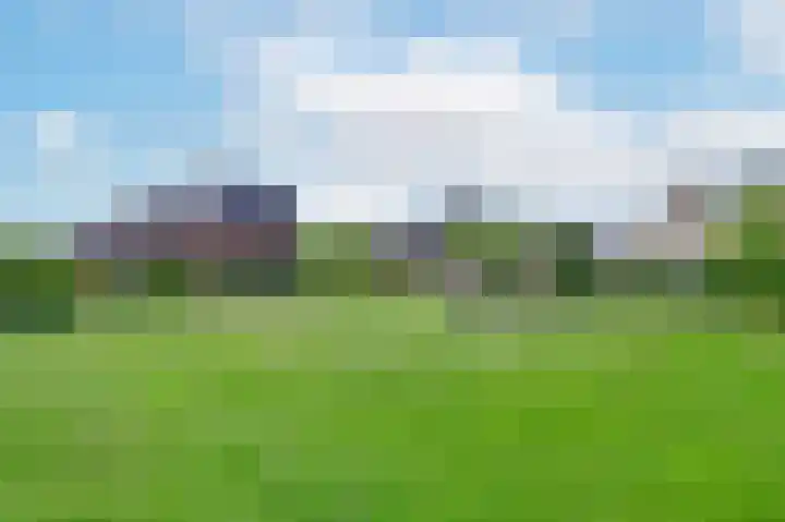 Wierdijk 41 Zwaag thumbnail 37