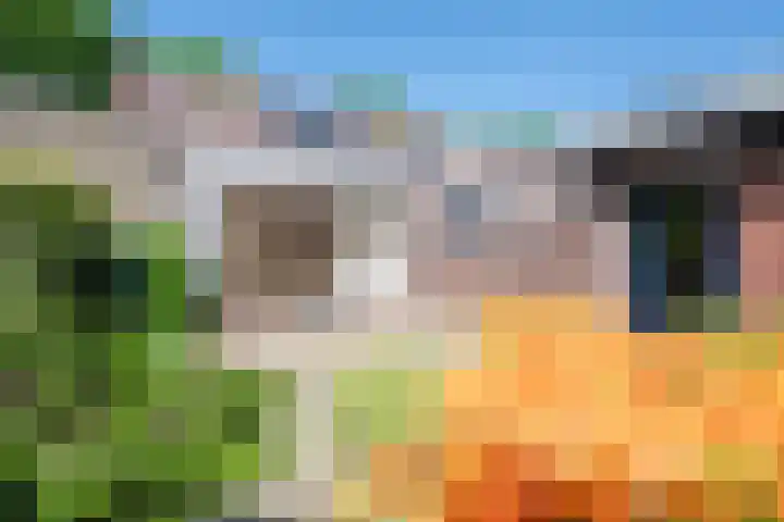 Wierdijk 7 Wervershoof thumbnail 34