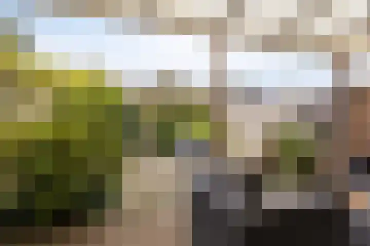 Wierdijk 7 Wervershoof thumbnail 35