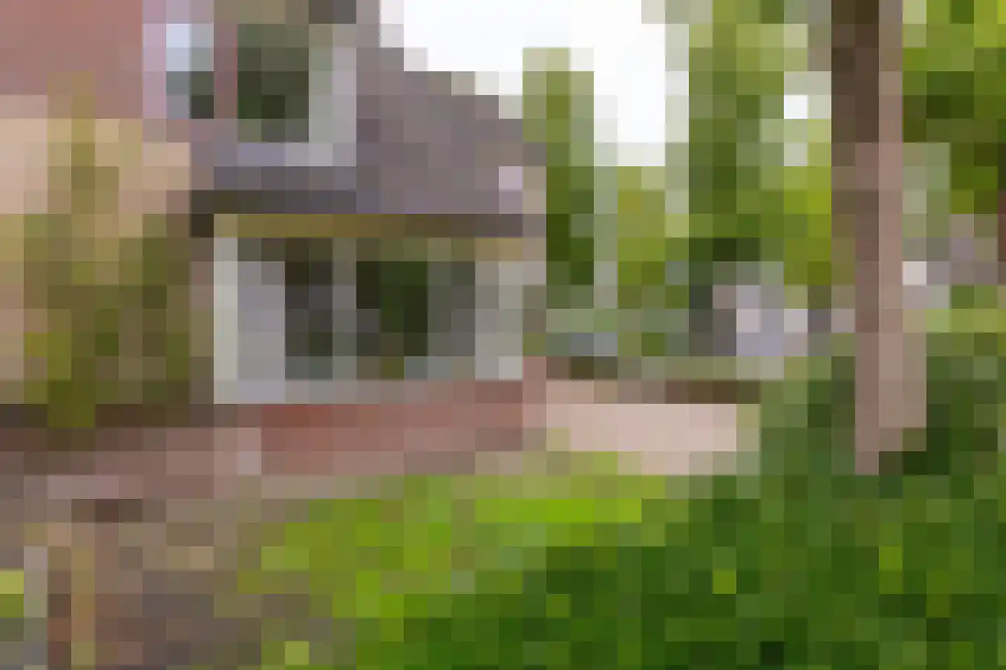 Wierdijk 7 Wervershoof thumbnail 5