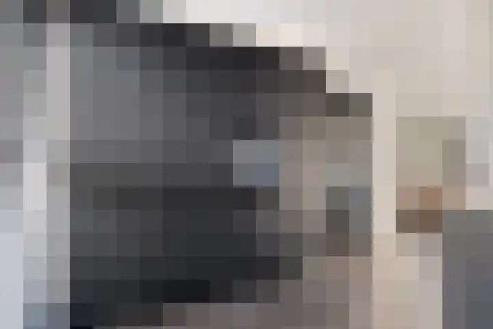 Wierdijk 76 Zwaag thumbnail 19