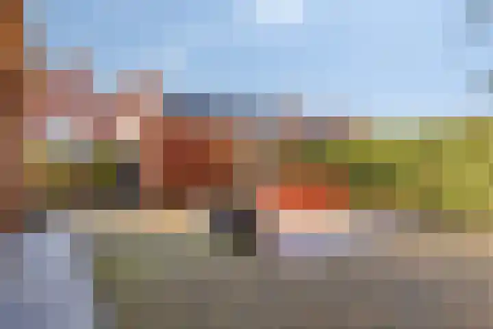 Wierdijk 76 Zwaag thumbnail 39