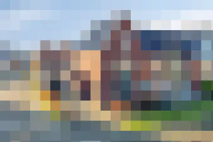 Wierdijk 76 Zwaag thumbnail 42