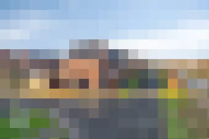 Wierdijk 76 Zwaag thumbnail 44