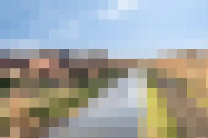 Wierdijk 76 Zwaag thumbnail 47