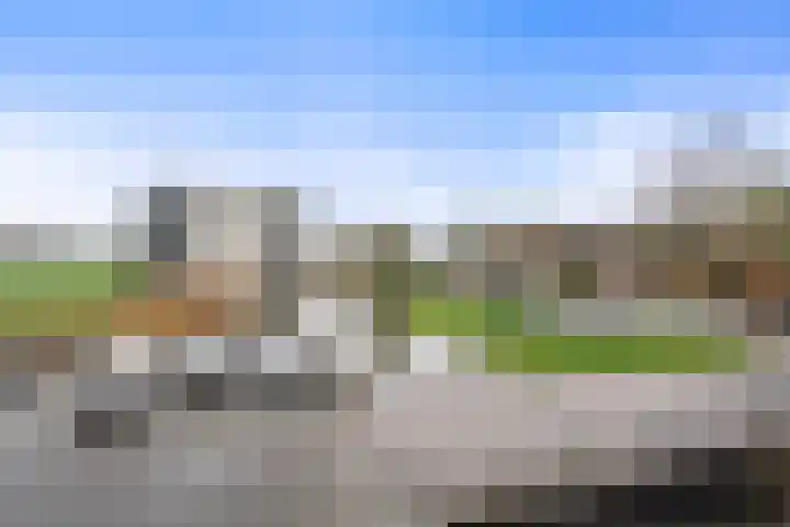 Wiericke 37 De Meern thumbnail 33