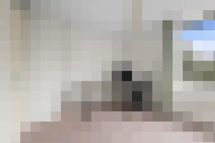 Wiericke 37 De Meern thumbnail 40