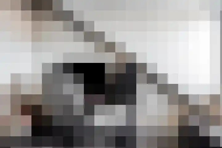 Wieringenlaan 102 Volendam thumbnail 37
