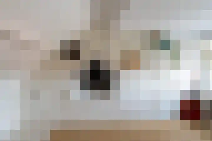Wierinxwal 5 Werkendam thumbnail 26