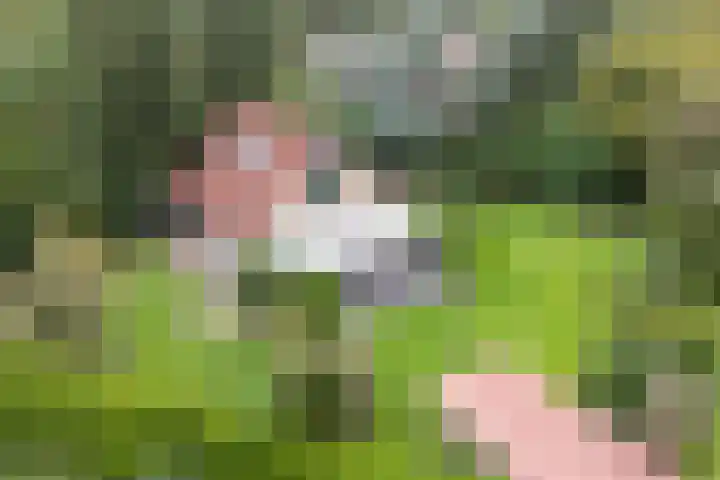 Wighenerhorst 73 Wijchen
