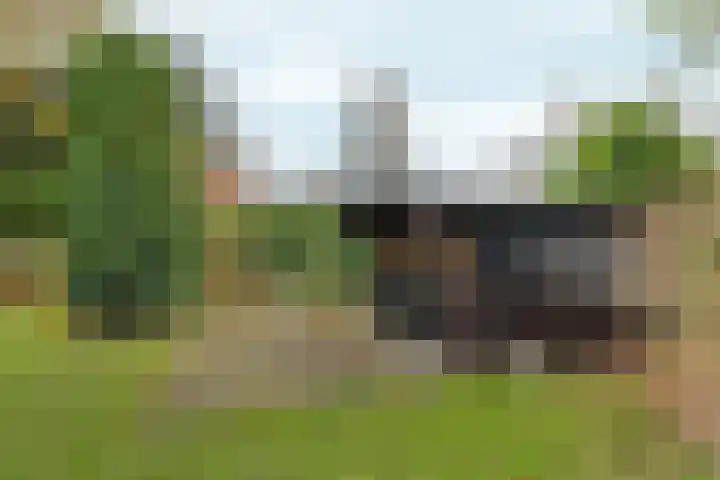 Wighenerhorst 96 Wijchen thumbnail 17