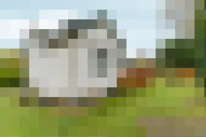 Wighenerhorst 96 Wijchen thumbnail 20