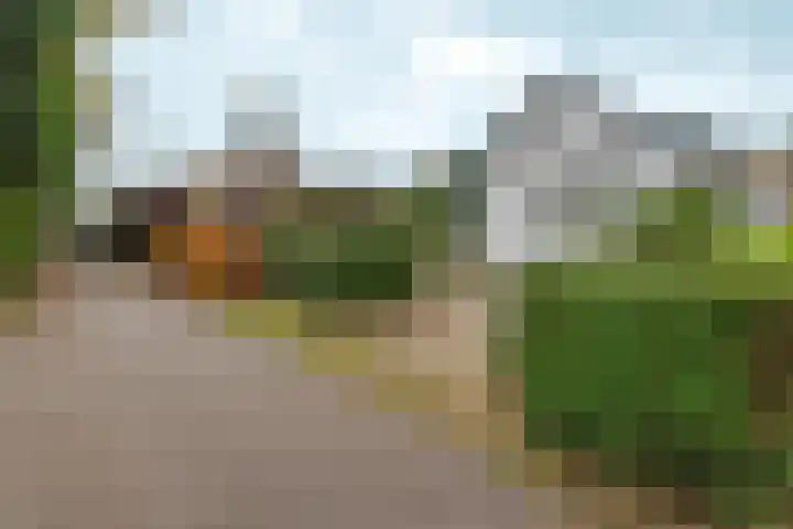 Wighenerhorst 96 Wijchen thumbnail 4