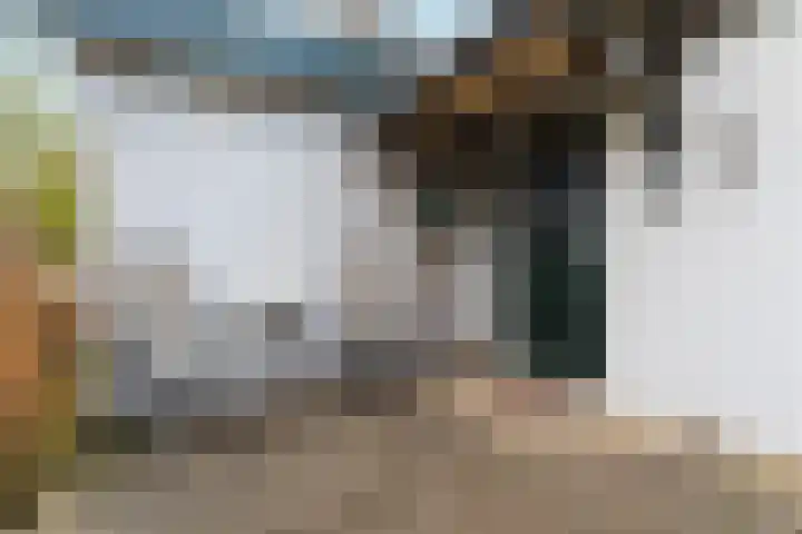 Wighenerhorst 96 Wijchen thumbnail 8