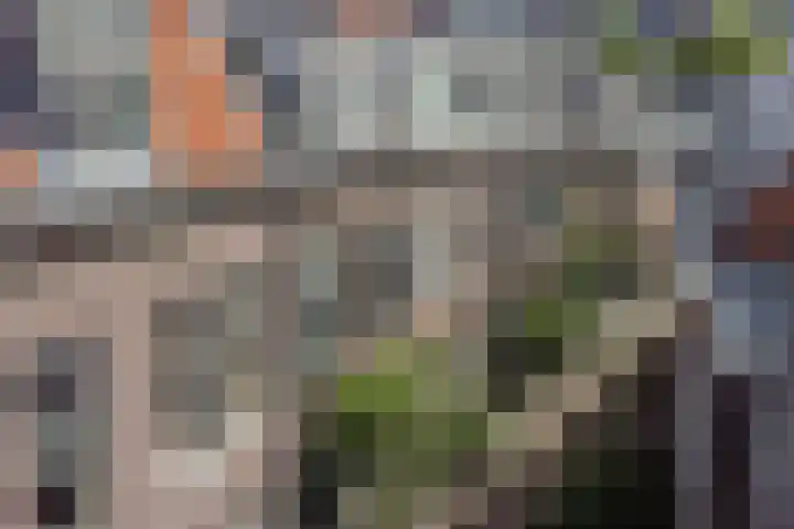 Wijde Geldelozepad 33 A Haarlem thumbnail 21