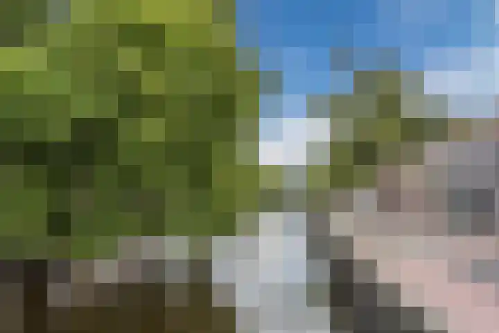 Wijde Geldelozepad 33 A Haarlem thumbnail 27