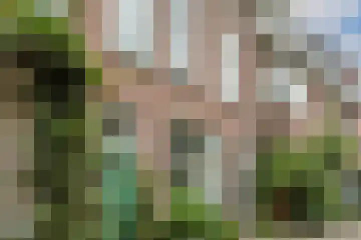 Wijde Geldelozepad 33 A Haarlem thumbnail 4