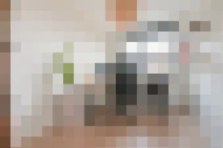 Wijde Mantel 2 Zeewolde thumbnail 18