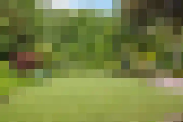 Wijde Omloop 42 Oosterhout thumbnail 53