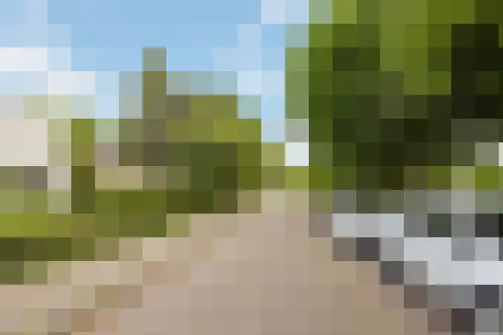 Wijde Omloop 42 Oosterhout thumbnail 56